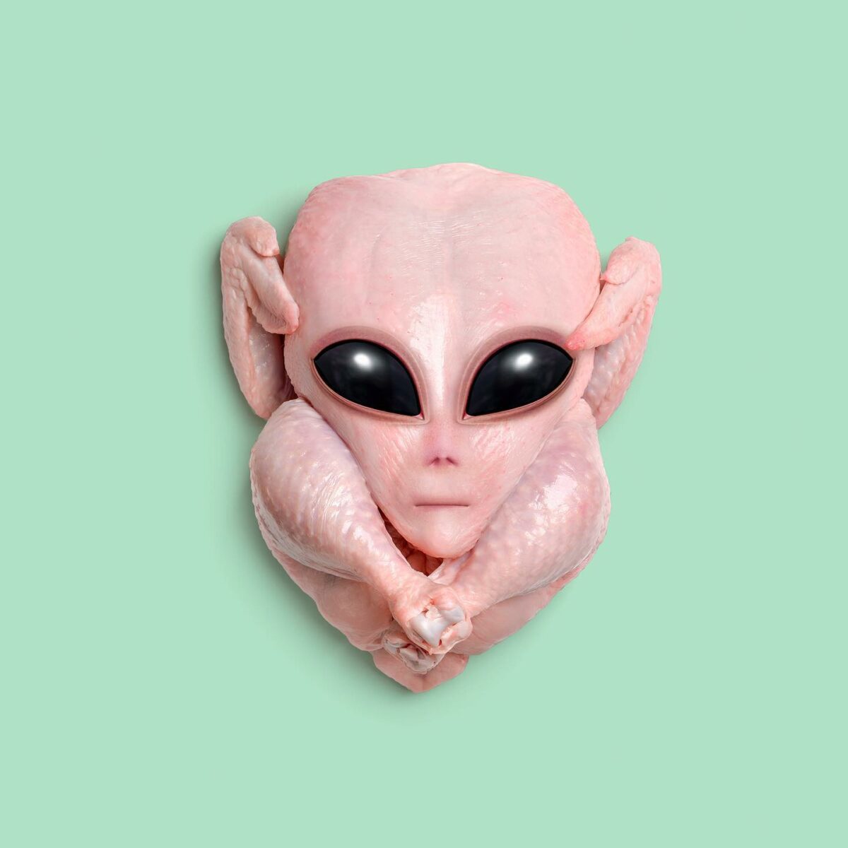 Contemporary Genetics The Amusing Surreal Digital Collages Of Studio Les Creatonautes 15