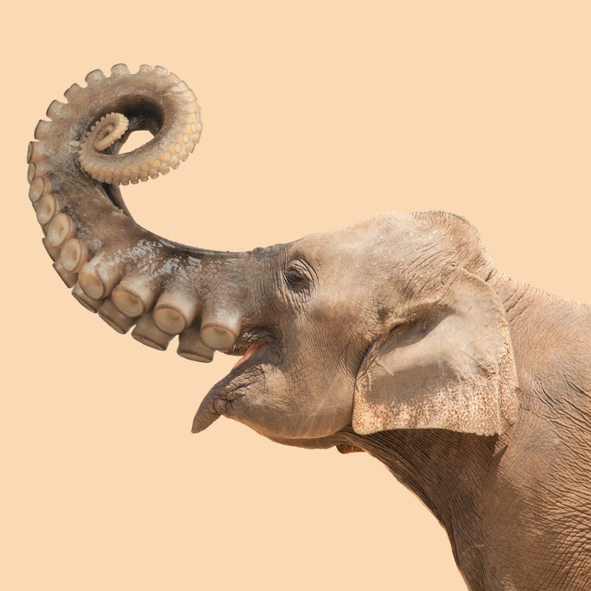 Contemporary Genetics The Amusing Surreal Digital Collages Of Studio Les Creatonautes 17