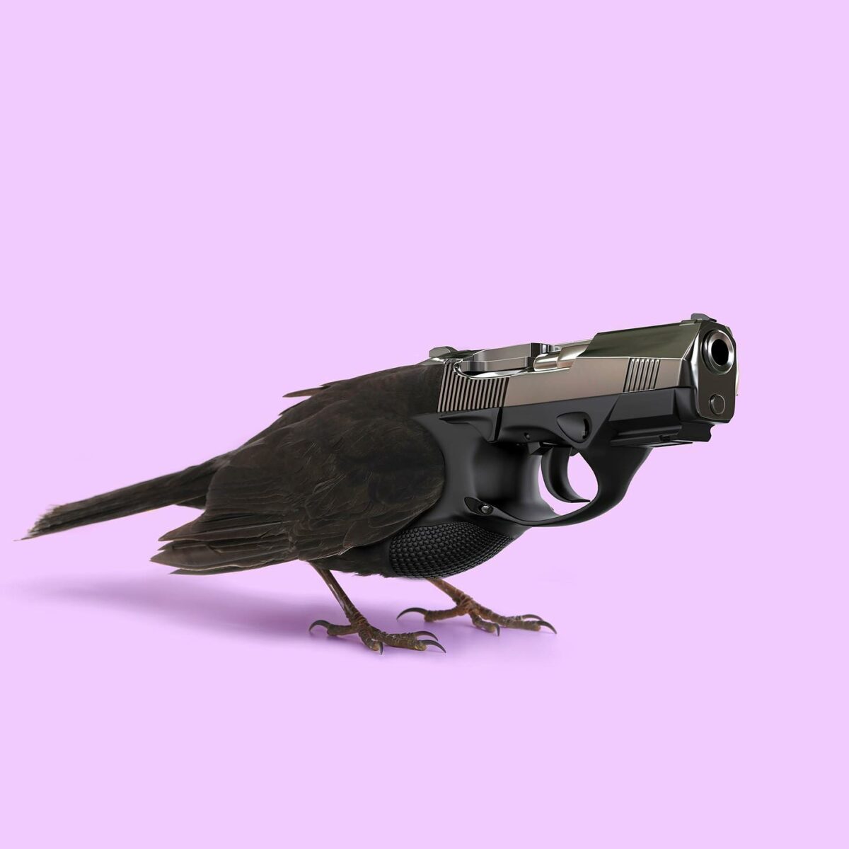 Contemporary Genetics The Amusing Surreal Digital Collages Of Studio Les Creatonautes 18