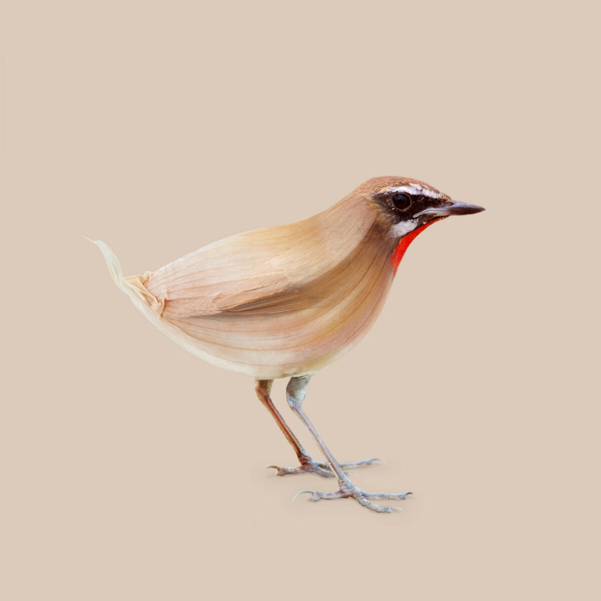 Contemporary Genetics The Amusing Surreal Digital Collages Of Studio Les Creatonautes 19