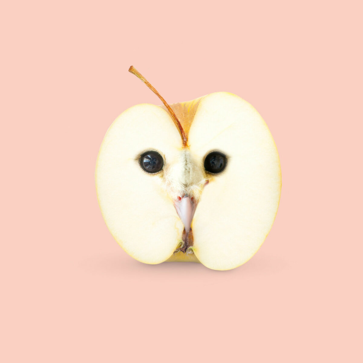 Contemporary Genetics The Amusing Surreal Digital Collages Of Studio Les Creatonautes 20