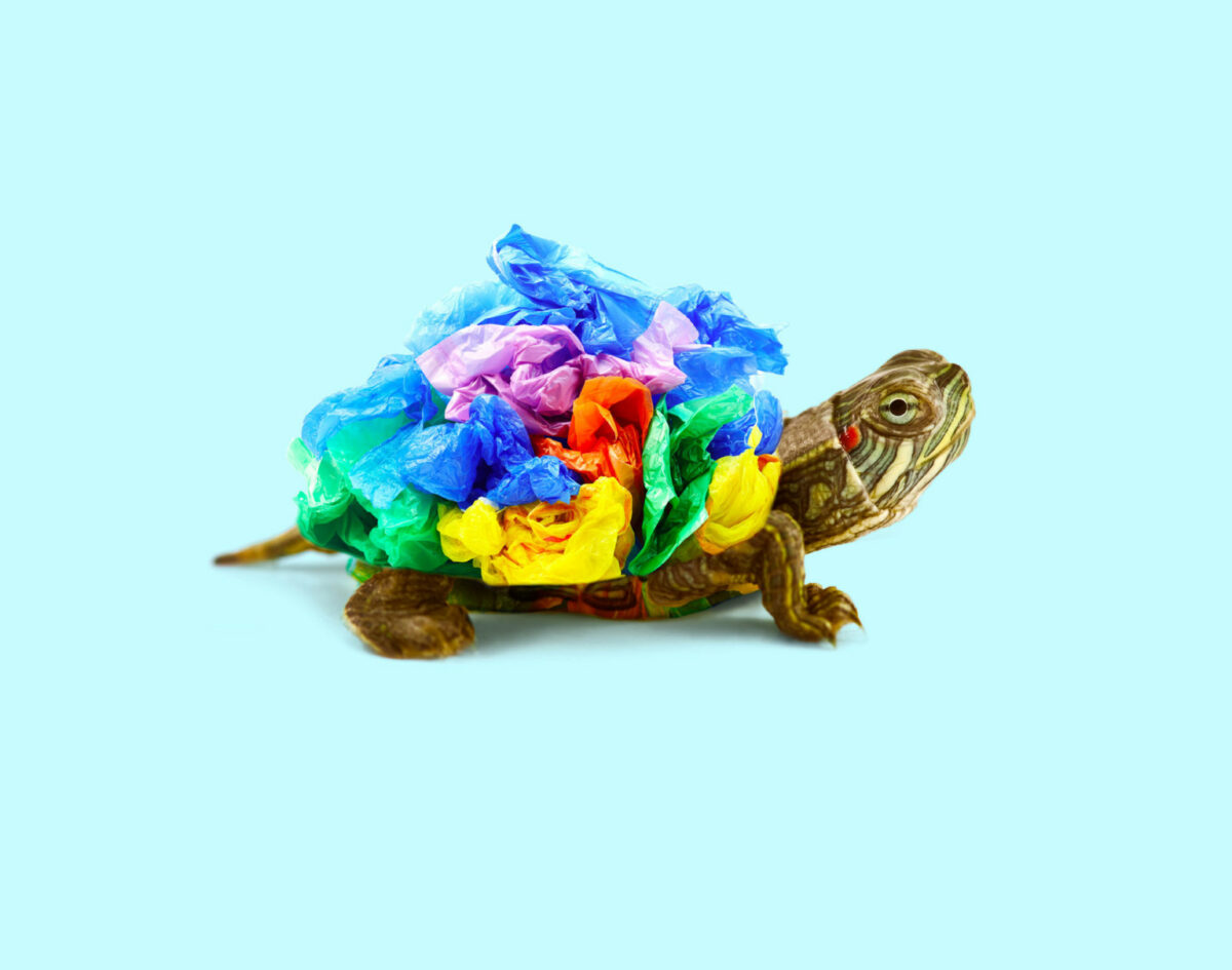 Contemporary Genetics The Amusing Surreal Digital Collages Of Studio Les Creatonautes 23