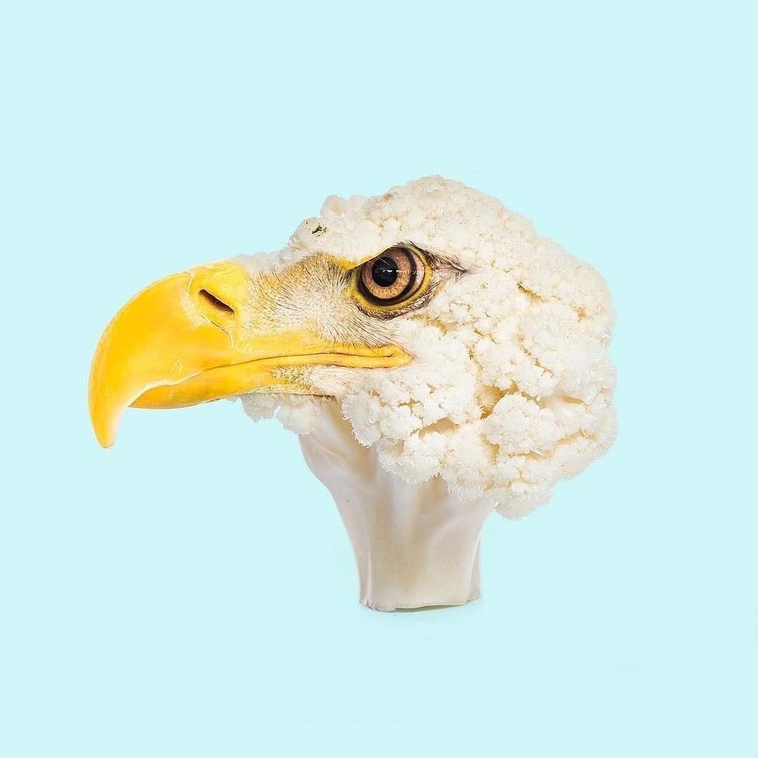 Contemporary Genetics The Amusing Surreal Digital Collages Of Studio Les Creatonautes 4