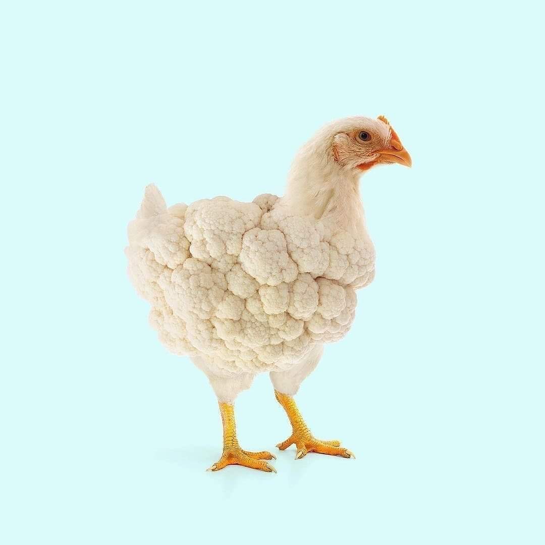 Contemporary Genetics The Amusing Surreal Digital Collages Of Studio Les Creatonautes 5