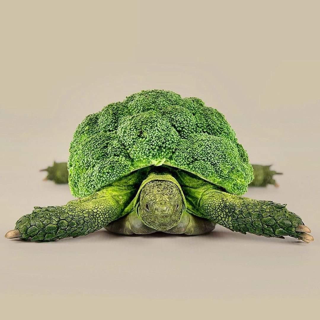 Contemporary Genetics The Amusing Surreal Digital Collages Of Studio Les Creatonautes 8