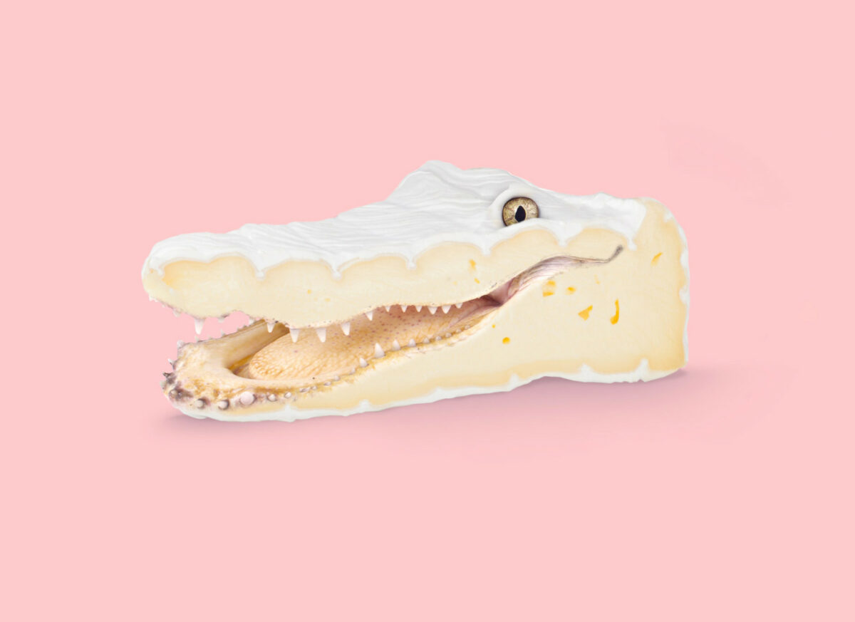 Contemporary Genetics The Amusing Surreal Digital Collages Of Studio Les Creatonautes 9