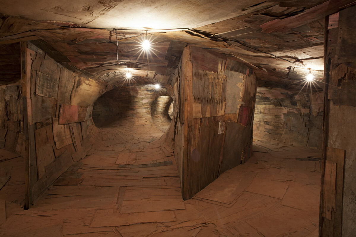 Monumental Root And Tree Trunk Like Installations By Henrique Oliveira 14