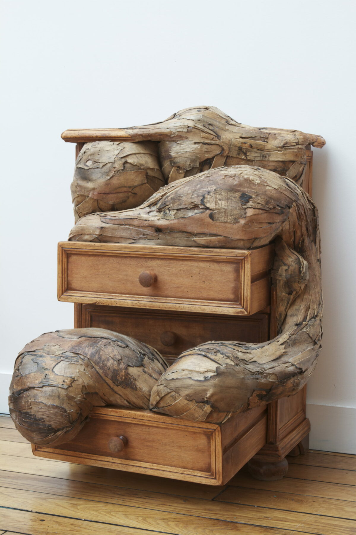 Monumental Root And Tree Trunk Like Installations By Henrique Oliveira 7