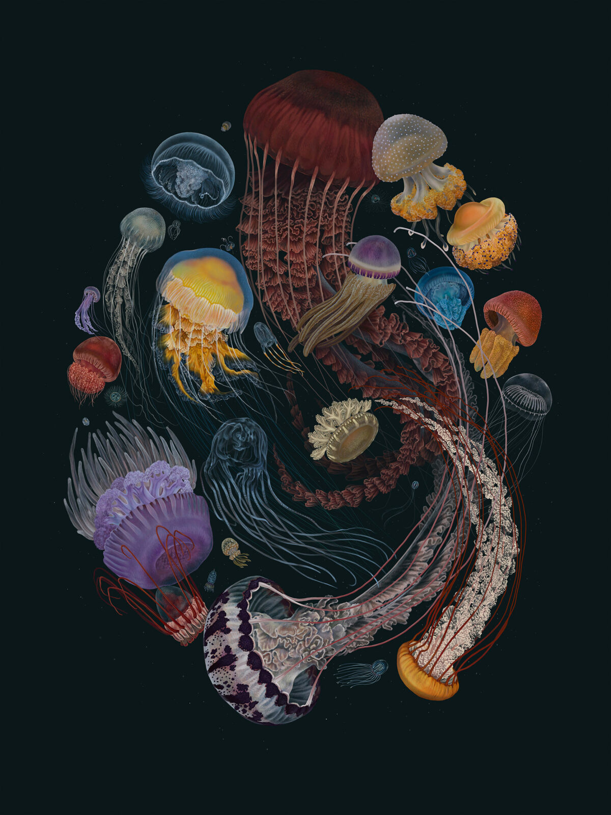 Striking Scientific Illustrations By Zoe Keller 12
