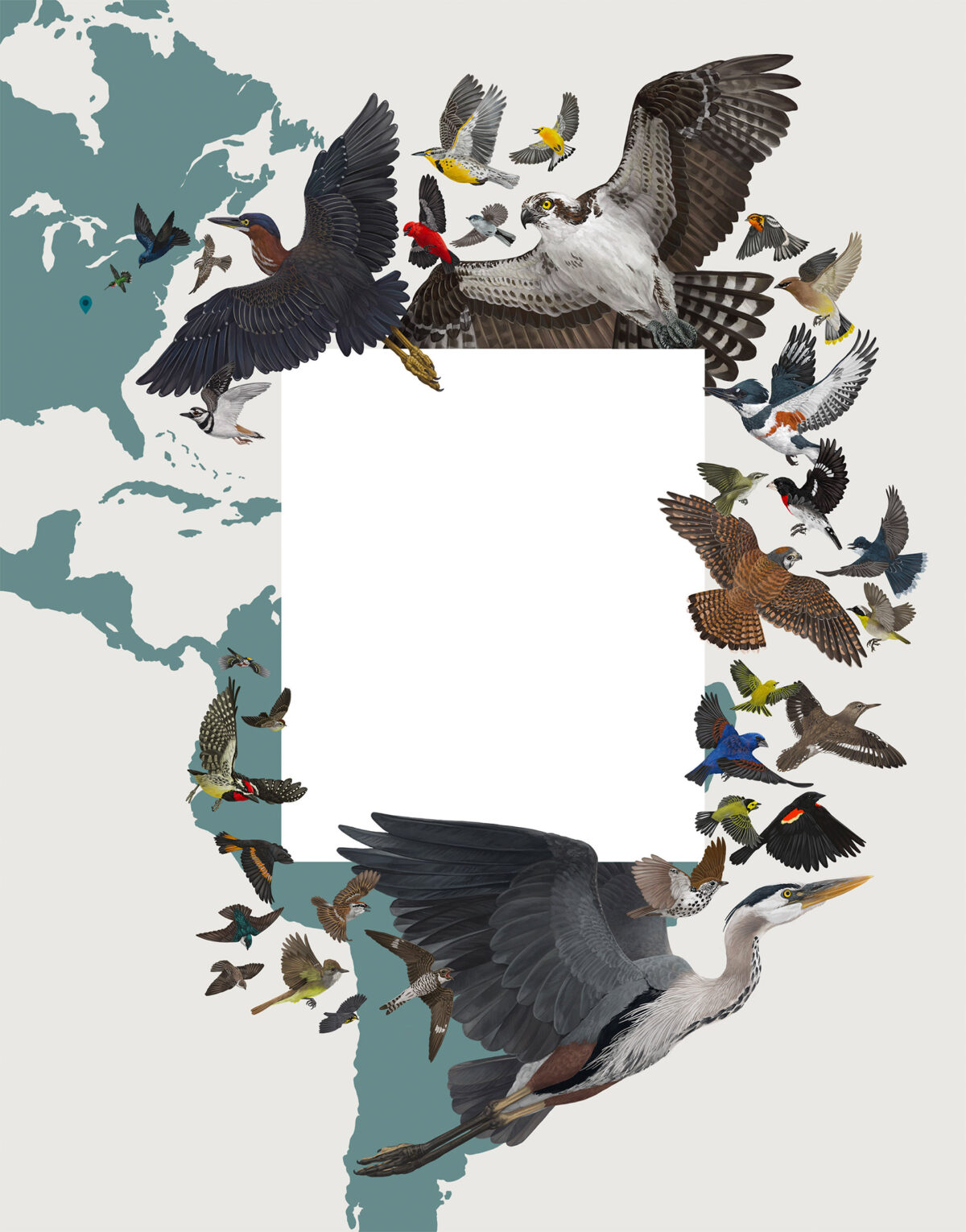 Striking Scientific Illustrations By Zoe Keller 18