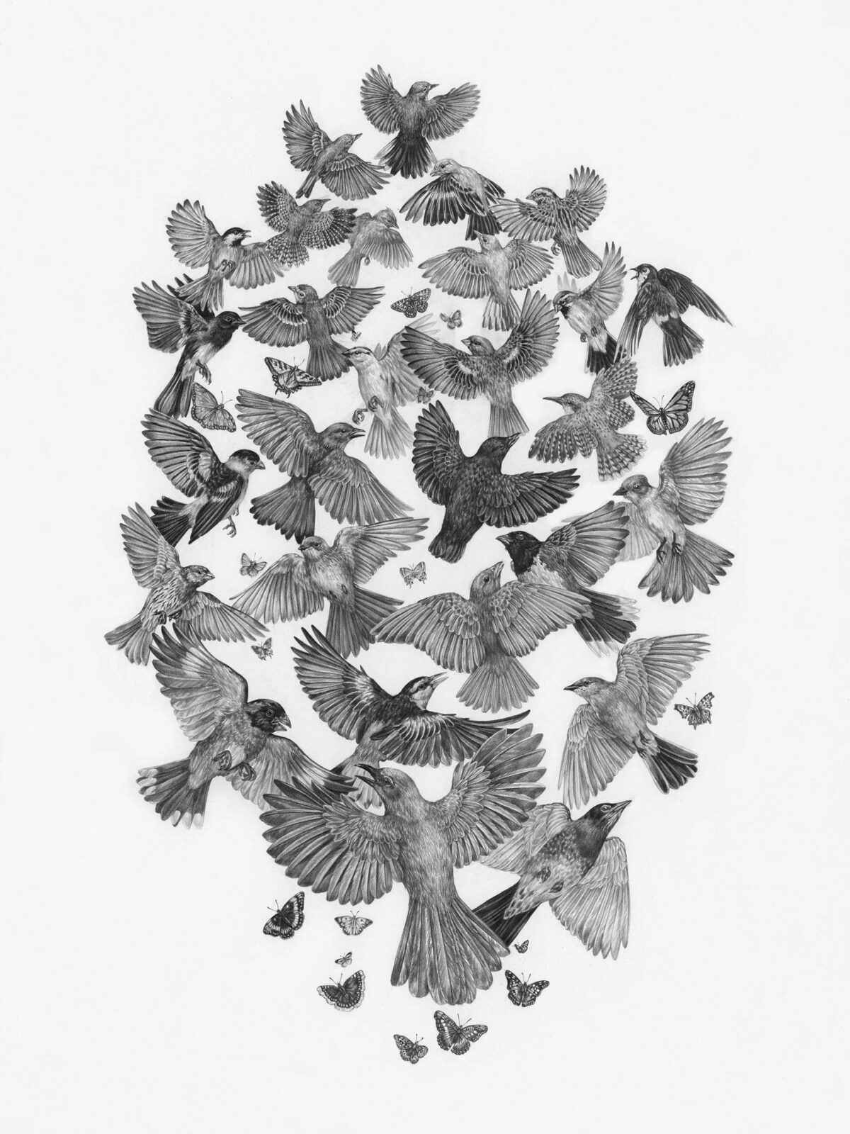 Striking Scientific Illustrations By Zoe Keller 2