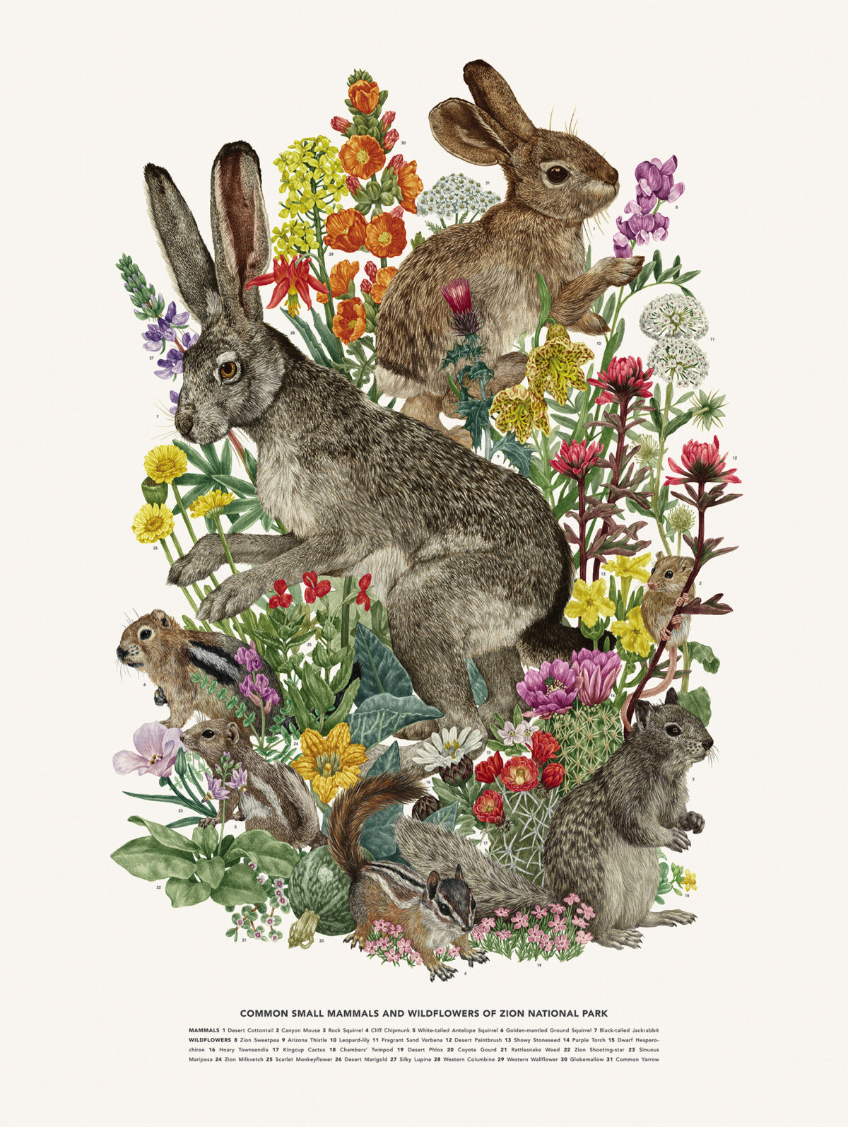 Striking Scientific Illustrations By Zoe Keller 21