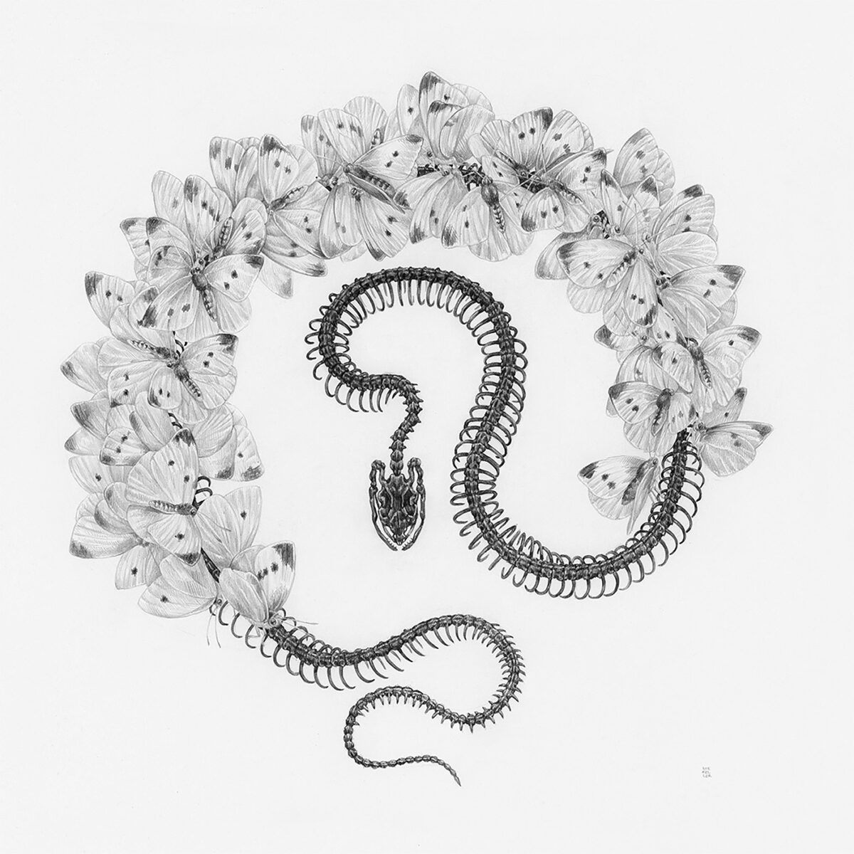 Striking Scientific Illustrations By Zoe Keller 6