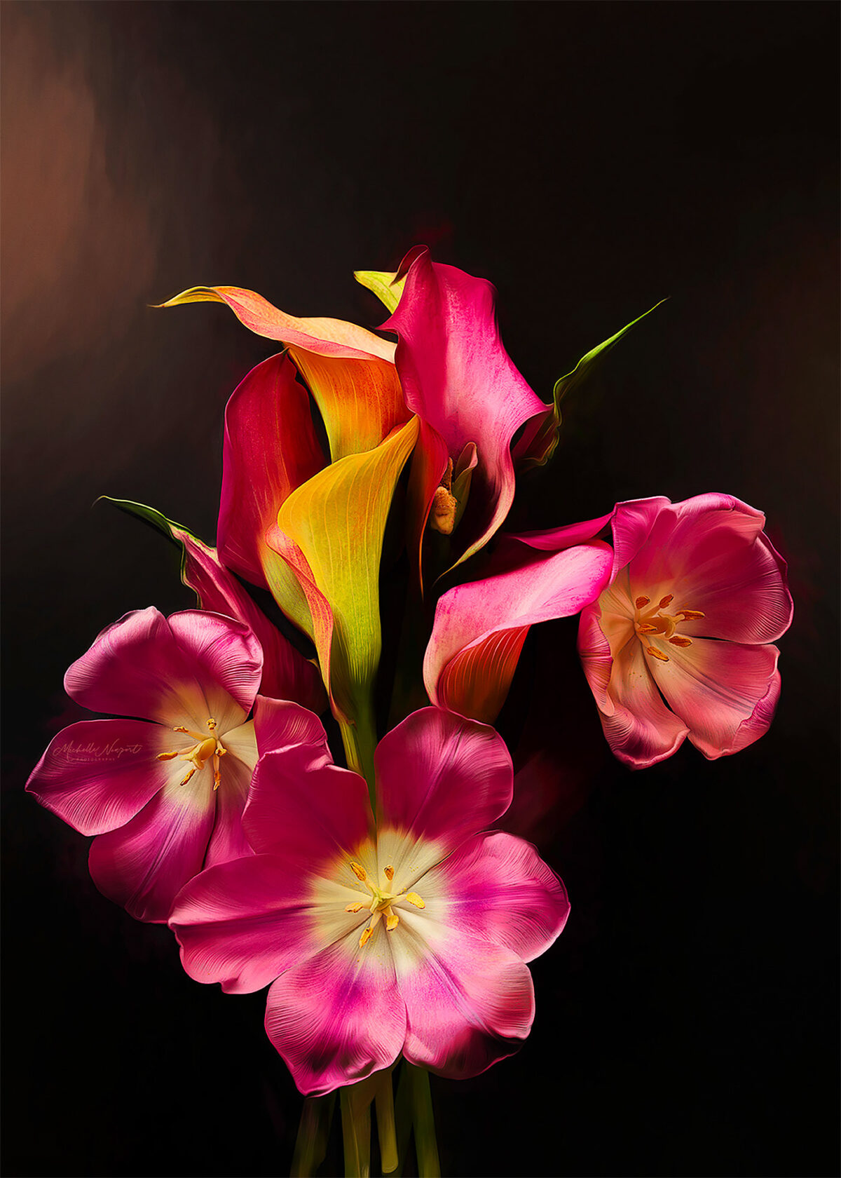 Wonderful Flower Photography By Michelle Newport 19