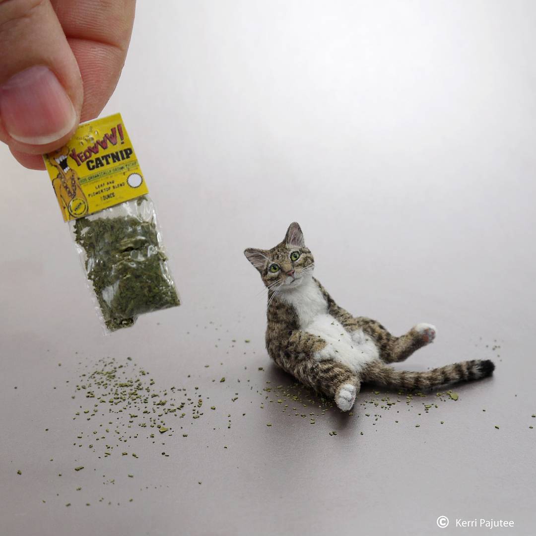 Amazingly Realistic Miniature Animal Sculptures By Kerri Pajutee (1)