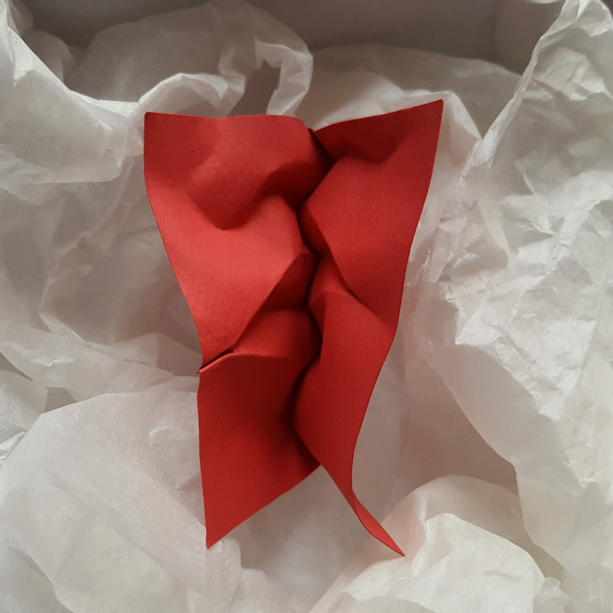 Fascinating Facial Sculptures Made From Folded Paper Sheets By Polly Verity (10)