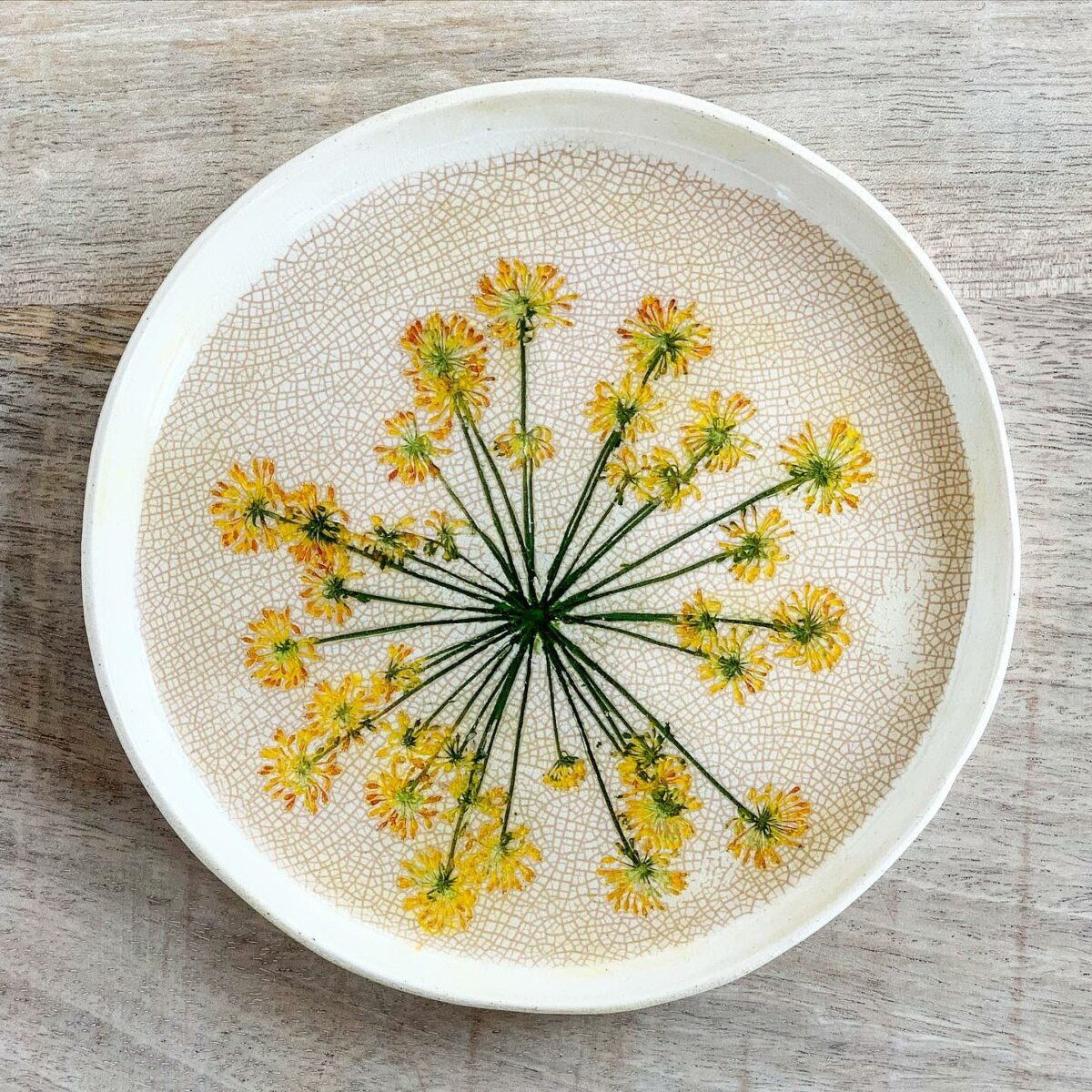 Gorgeous Ceramics Decorated With Botanical Motifs By Hessa Al Ajmani (12)