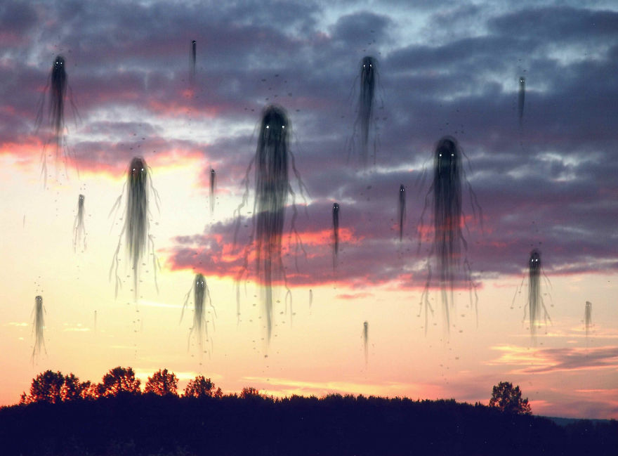 Inked Photography Somber Pictures Populated With Cute And Creepy Creatures By Mark Gagne (24)