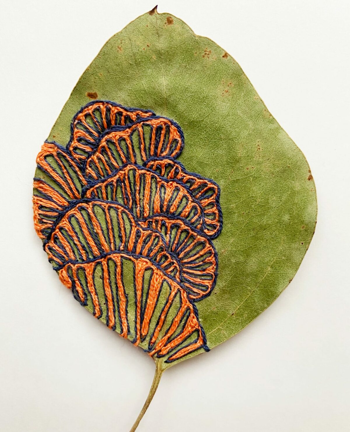 The Fascinating Embroidered Leaf Art Of Hillary Waters Fayle (2)