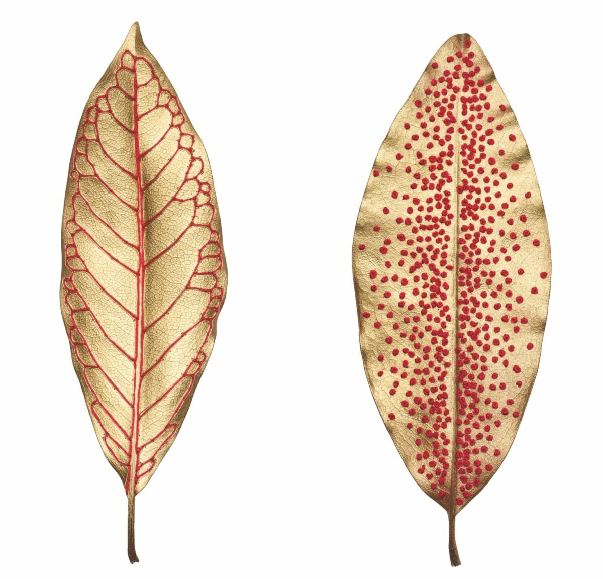 The Fascinating Embroidered Leaf Art Of Hillary Waters Fayle (6)