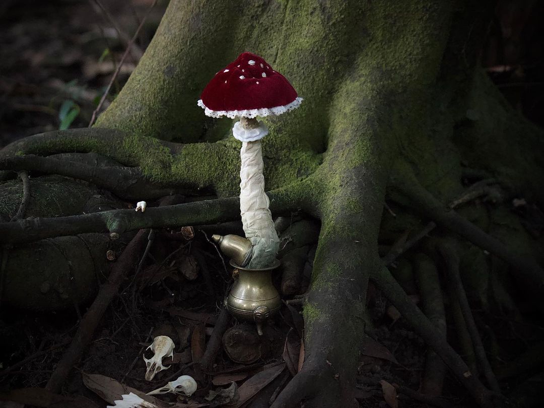 Witchy Mushrooms The Beautifully Nature Inspired Textile And Fiber Art Of Adrianna Eve 10