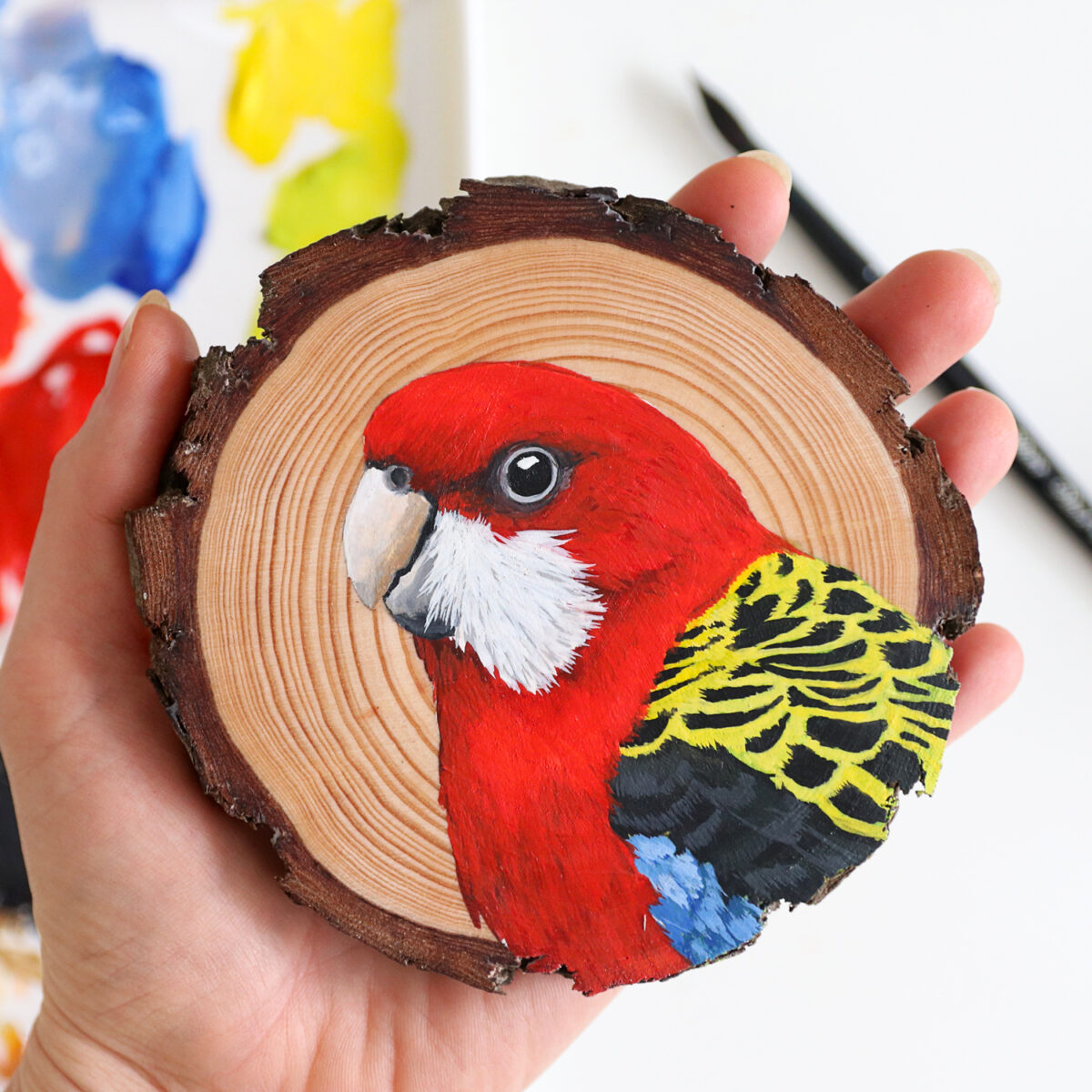 100 Days Of Birds A Marvelous Series Of Gouache On Wood Paintings By Deanna Maree (14)