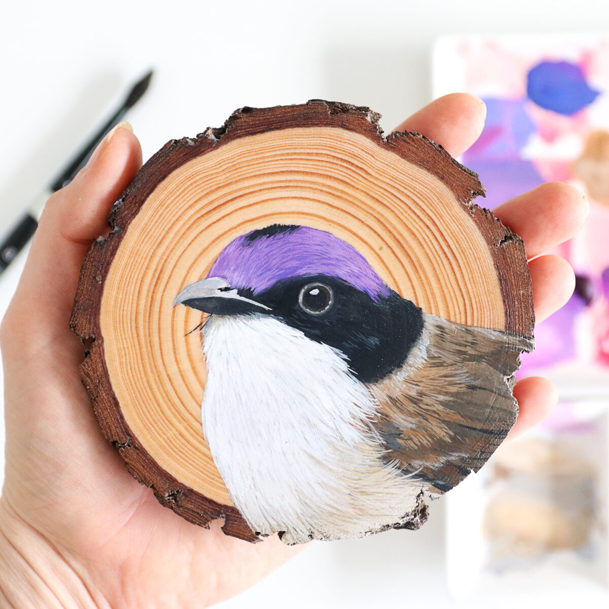 100 Days Of Birds A Marvelous Series Of Gouache On Wood Paintings By Deanna Maree (17)