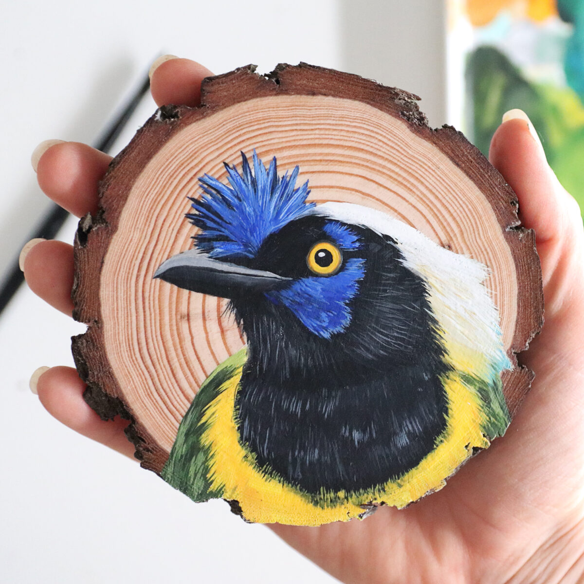 100 Days Of Birds A Marvelous Series Of Gouache On Wood Paintings By Deanna Maree (20)