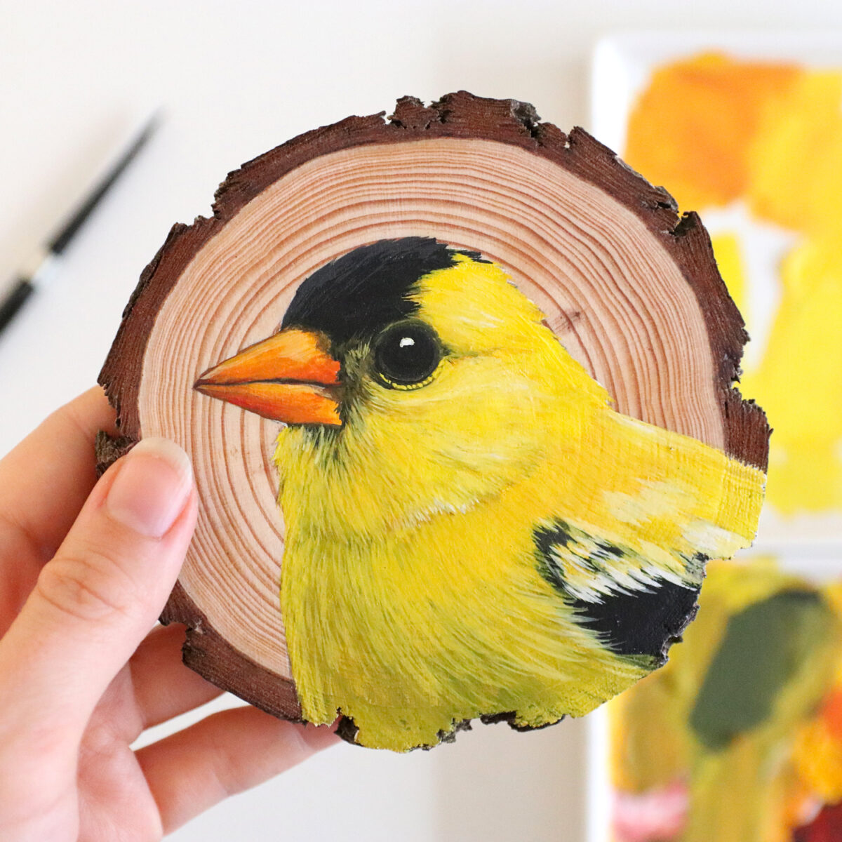 100 Days Of Birds A Marvelous Series Of Gouache On Wood Paintings By Deanna Maree (21)