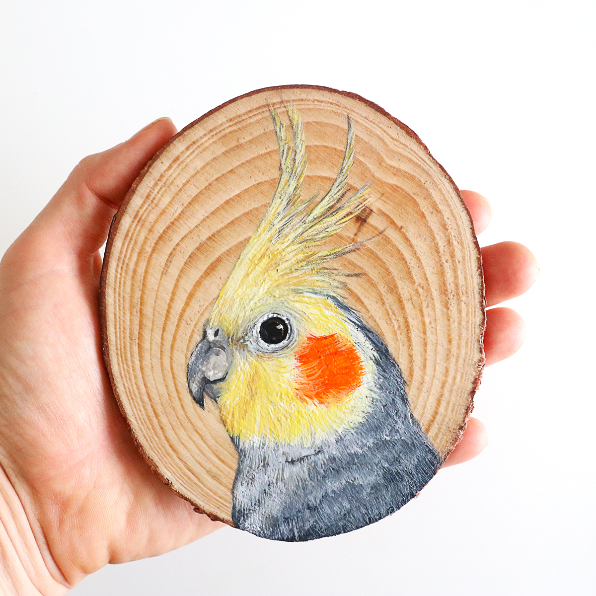 100 Days Of Birds A Marvelous Series Of Gouache On Wood Paintings By Deanna Maree (4)