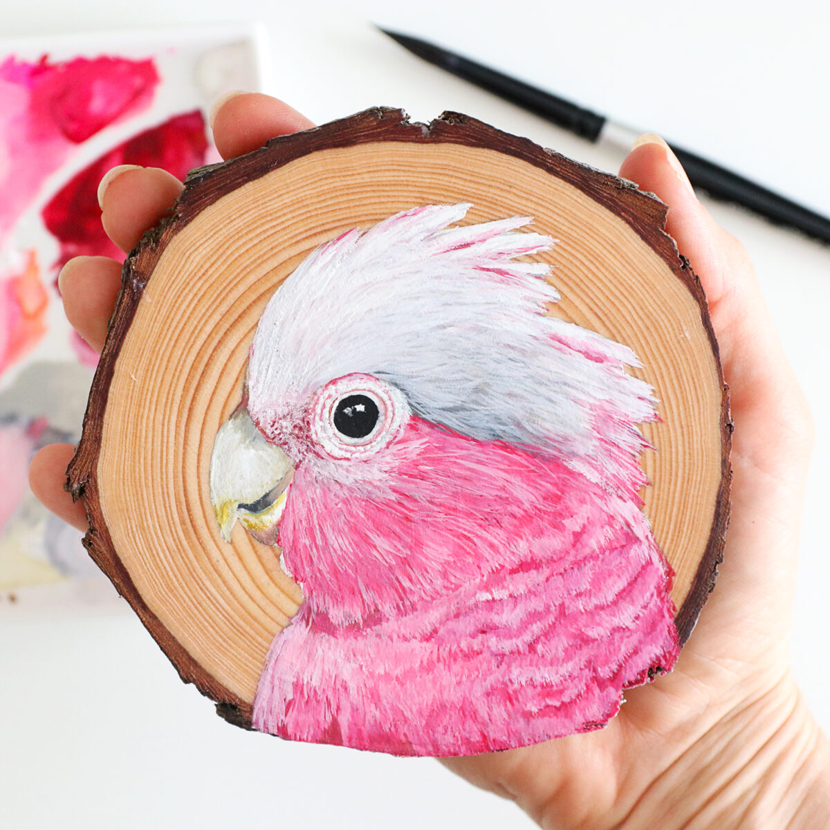 100 Days Of Birds A Marvelous Series Of Gouache On Wood Paintings By Deanna Maree (5)