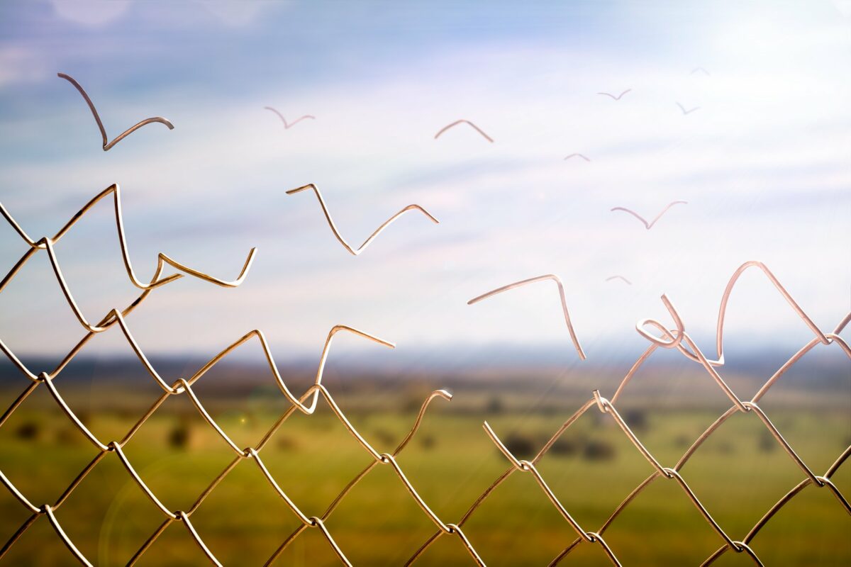 Hypnotizing Surreal Photo Manipulations By Modifeye (7)