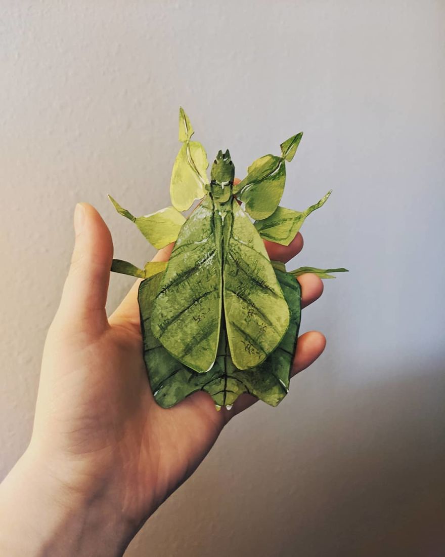 Intricate Paper Sculptures Of Butterflies And Beetles By Kerilynn Wilson (12)