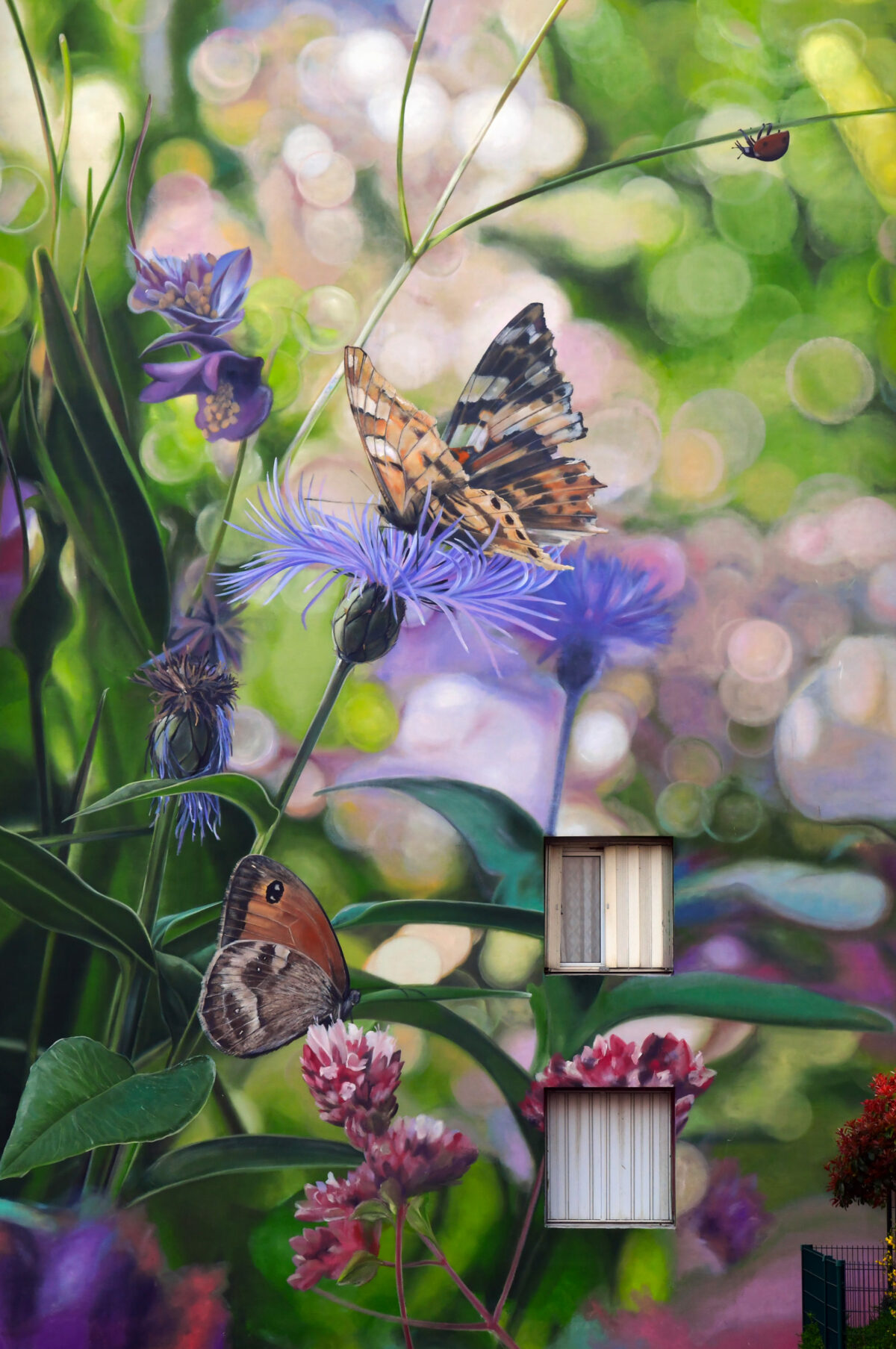 Large Scale 3d Photo Realistic Murals Of Butterflies With The Trompe L'oeil Technique By Mantra (2)