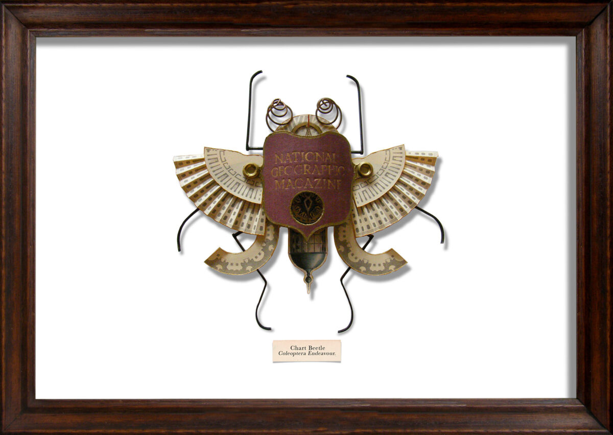 Litter Bugs Incredible Insect Found Object Sculptures By Mark Oliver (17)