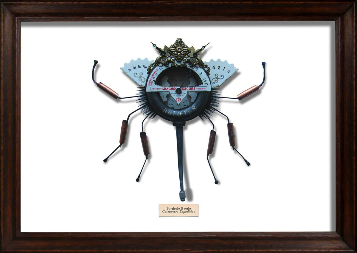 Litter Bugs Incredible Insect Found Object Sculptures By Mark Oliver (22)