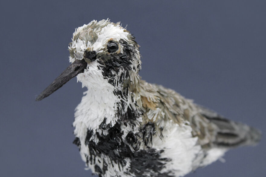 Ocean Pollution Realistic Paper Sculptures Of Animals Threatened By Pollution By Tina Kraus (11)