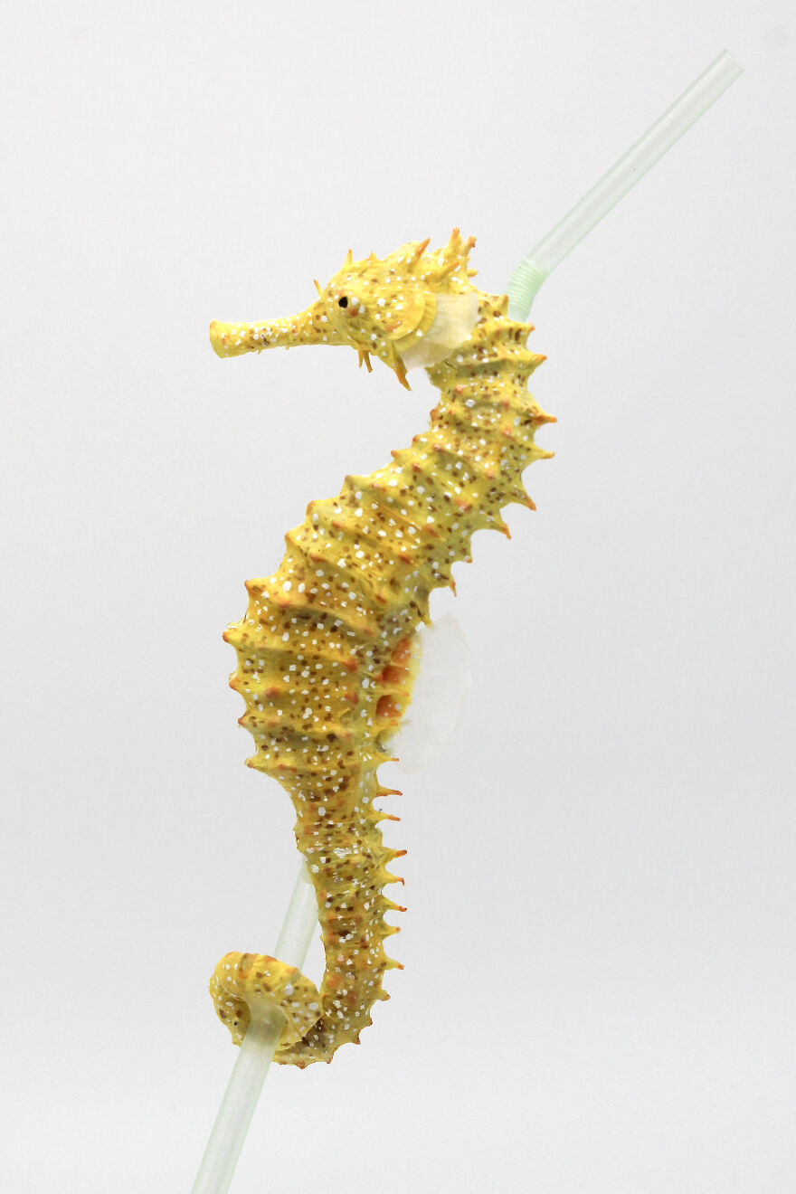 Ocean Pollution Realistic Paper Sculptures Of Animals Threatened By Pollution By Tina Kraus (13)