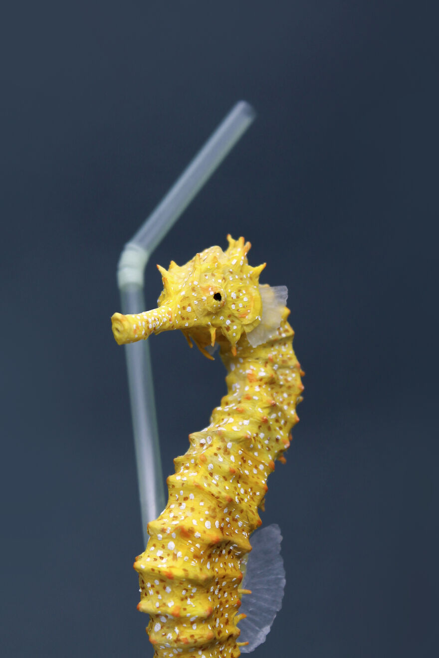 Ocean Pollution Realistic Paper Sculptures Of Animals Threatened By Pollution By Tina Kraus (14)