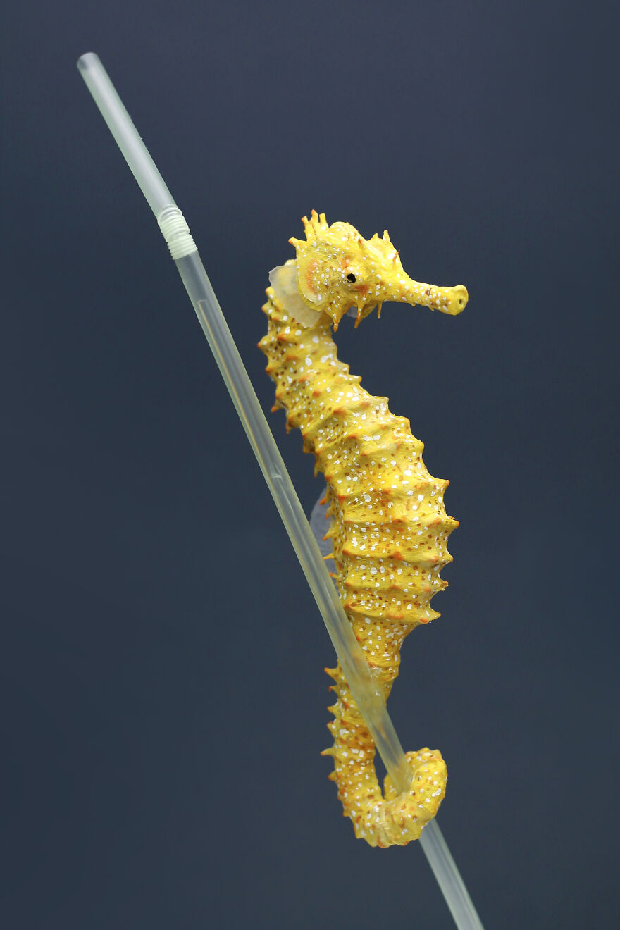 Ocean Pollution Realistic Paper Sculptures Of Animals Threatened By Pollution By Tina Kraus (15)