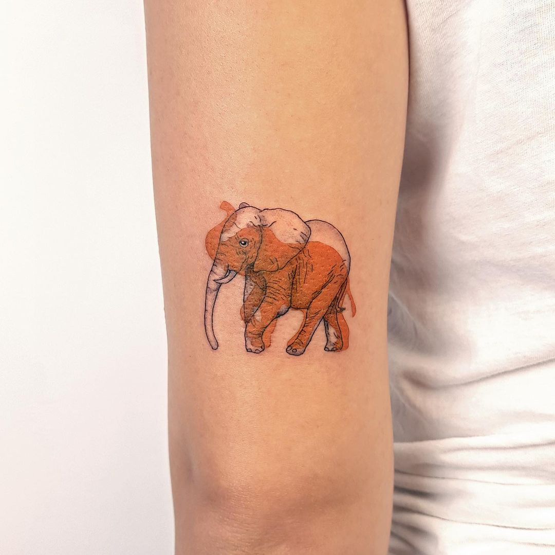 Pellucid Enchanting Overlapped Tattoos By Vasif Daniel Kahraman (13)