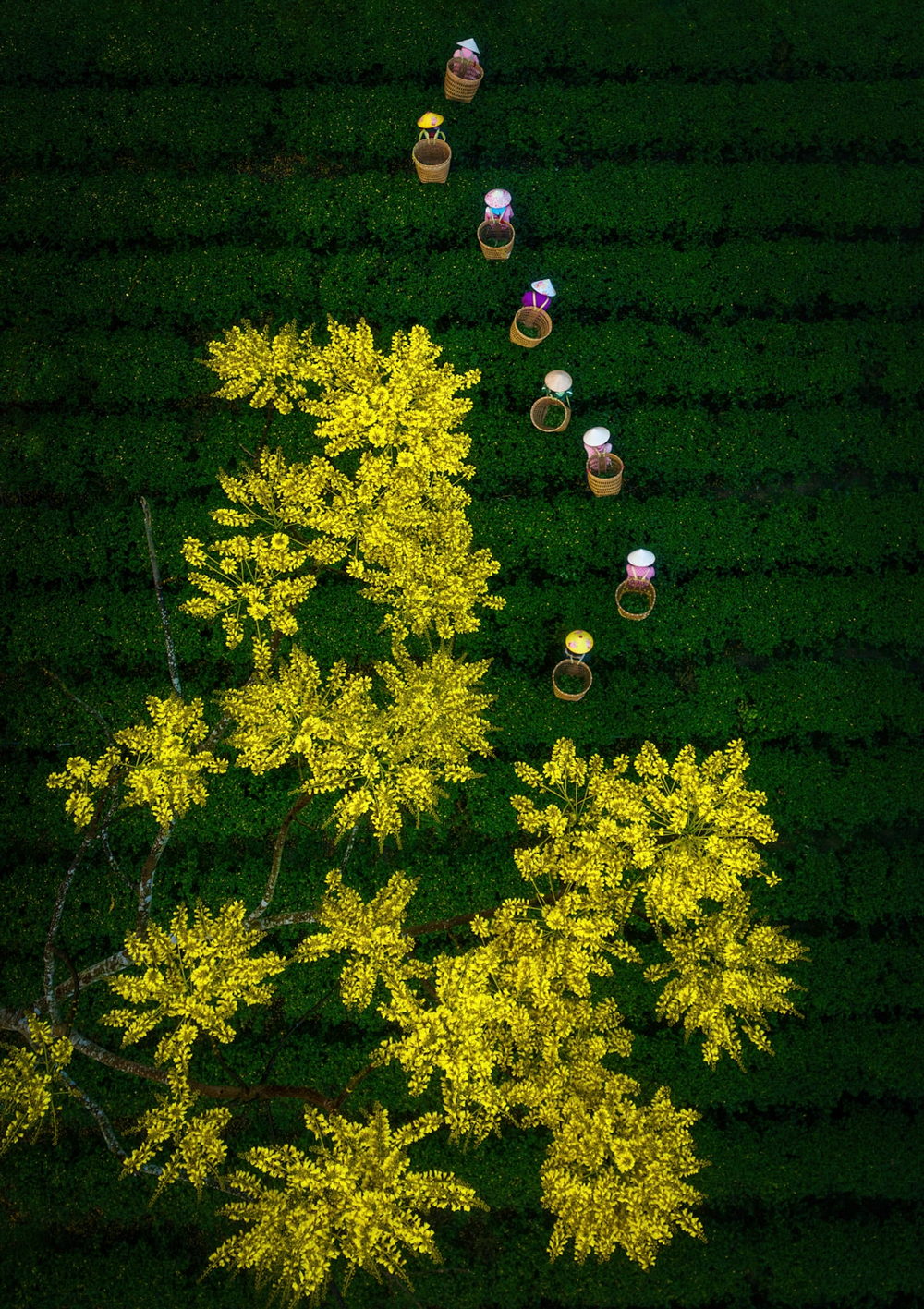 Superb Aerial Photography Of Vietnam’s Countryside By Pham Huy Trung (4)