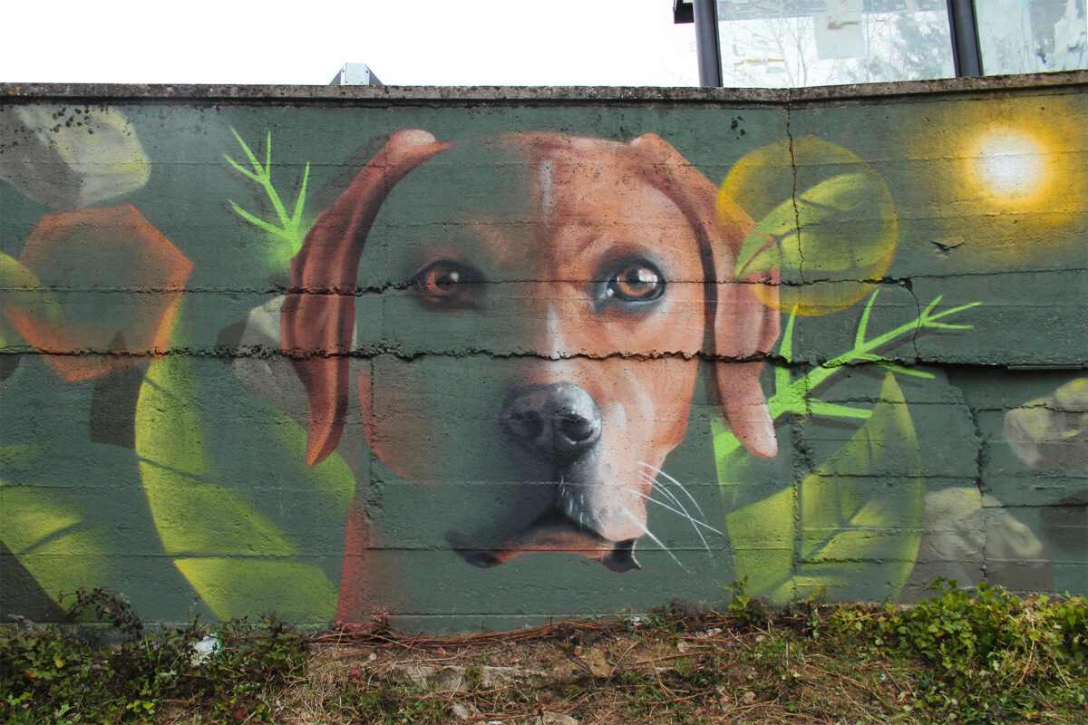 The Awe Inspiring Nature Inspired Murals Of Oniro (15)