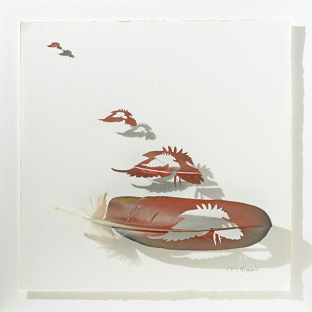 The Intricate Art Carved Out Of Feathers Of Chris Maynard (11)