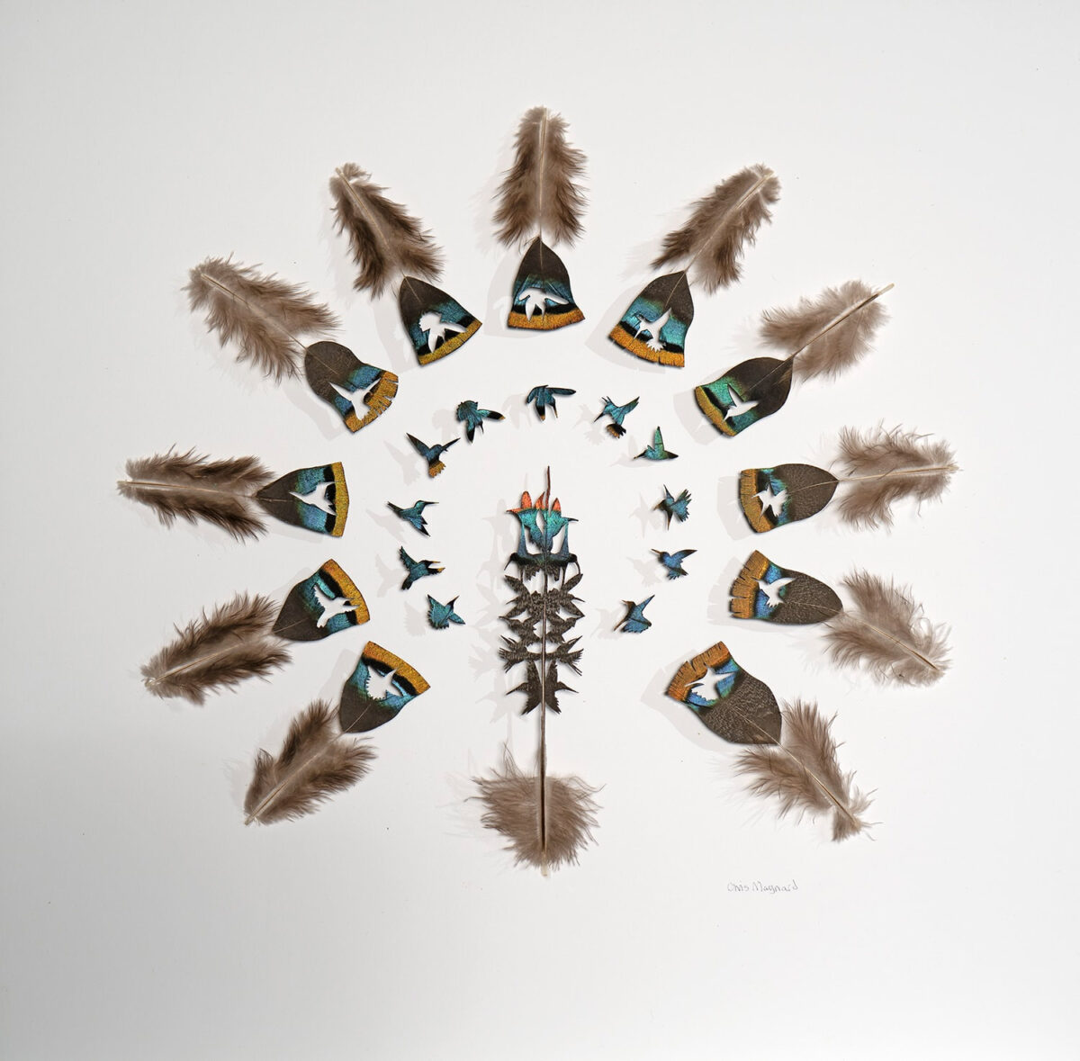 The Intricate Art Carved Out Of Feathers Of Chris Maynard (16)