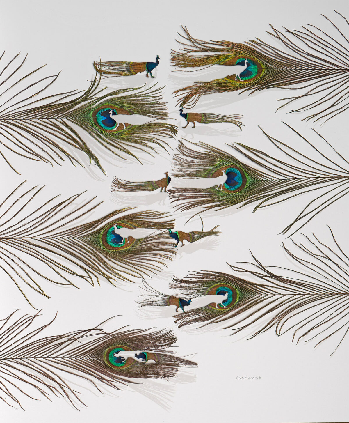 The Intricate Art Carved Out Of Feathers Of Chris Maynard (17)
