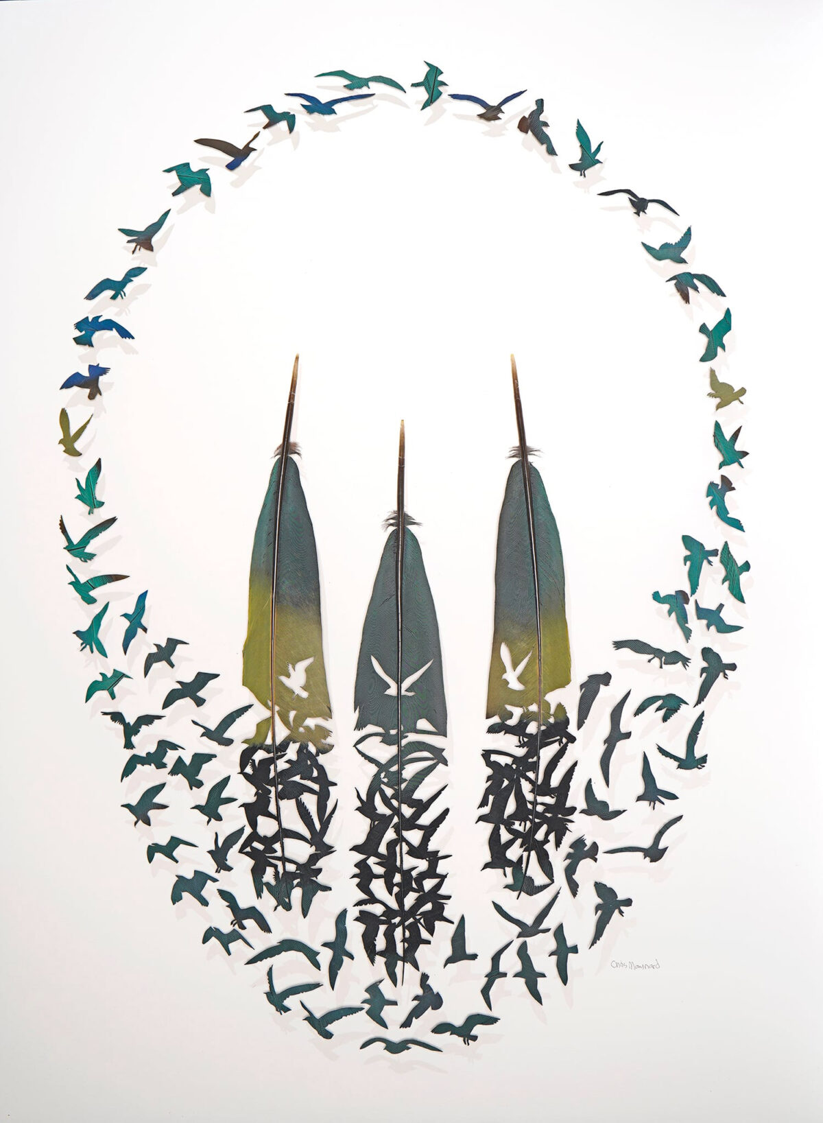 The Intricate Art Carved Out Of Feathers Of Chris Maynard (2)