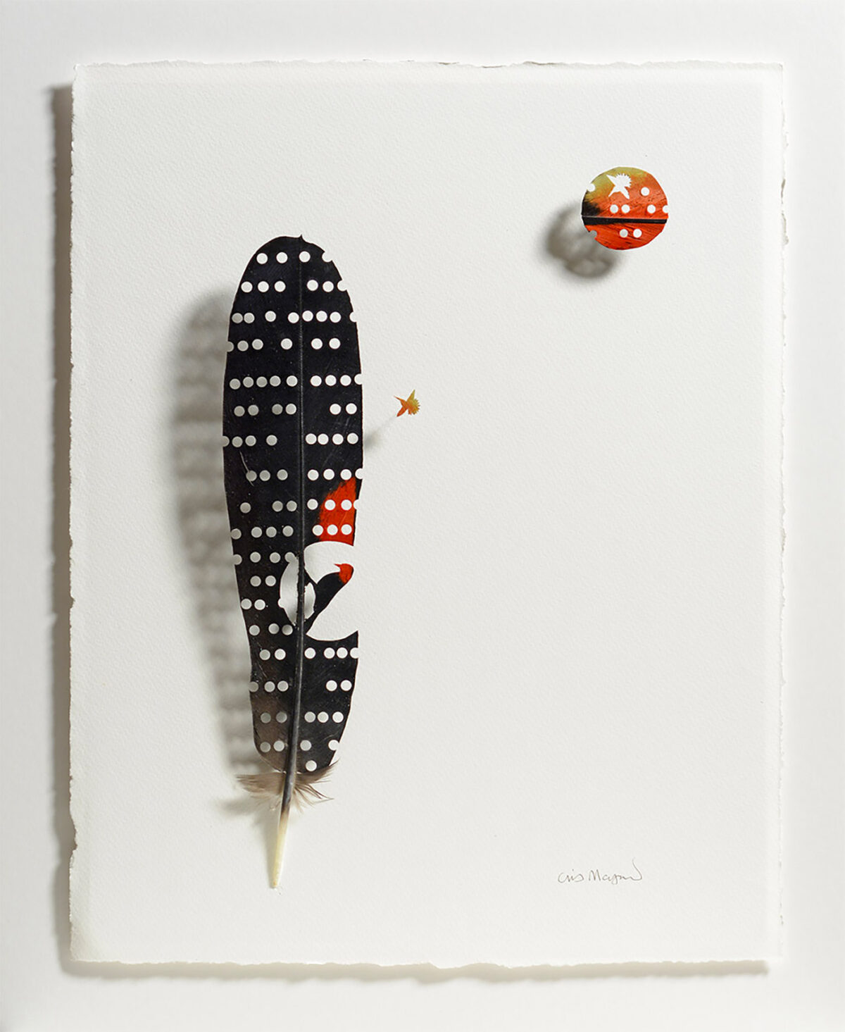 The Intricate Art Carved Out Of Feathers Of Chris Maynard (20)