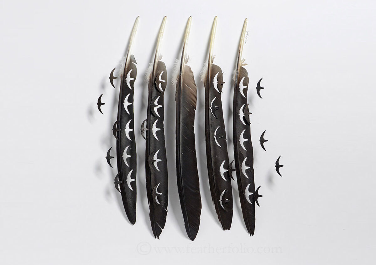 The Intricate Art Carved Out Of Feathers Of Chris Maynard (21)