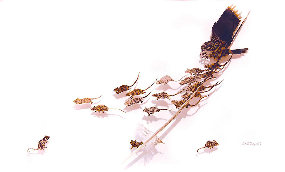 The Intricate Art Carved Out Of Feathers Of Chris Maynard (6)